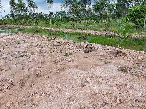 ban-mieng-dat-1000m2-ngang-24m-dai-42m-tai-long-an