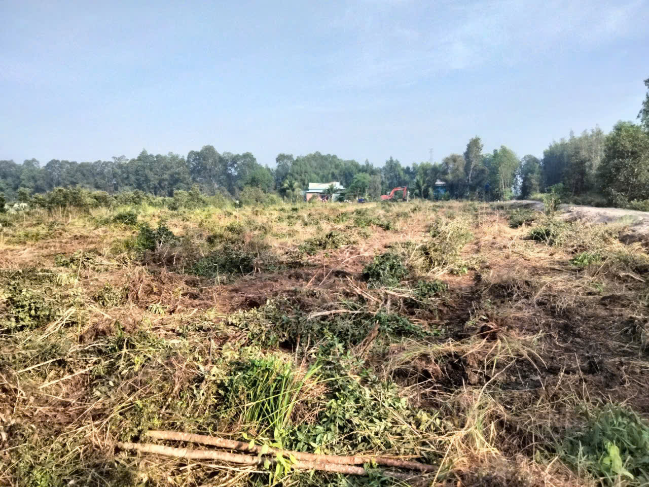 mua-ban-nha-dat-tai-tinh-long-an