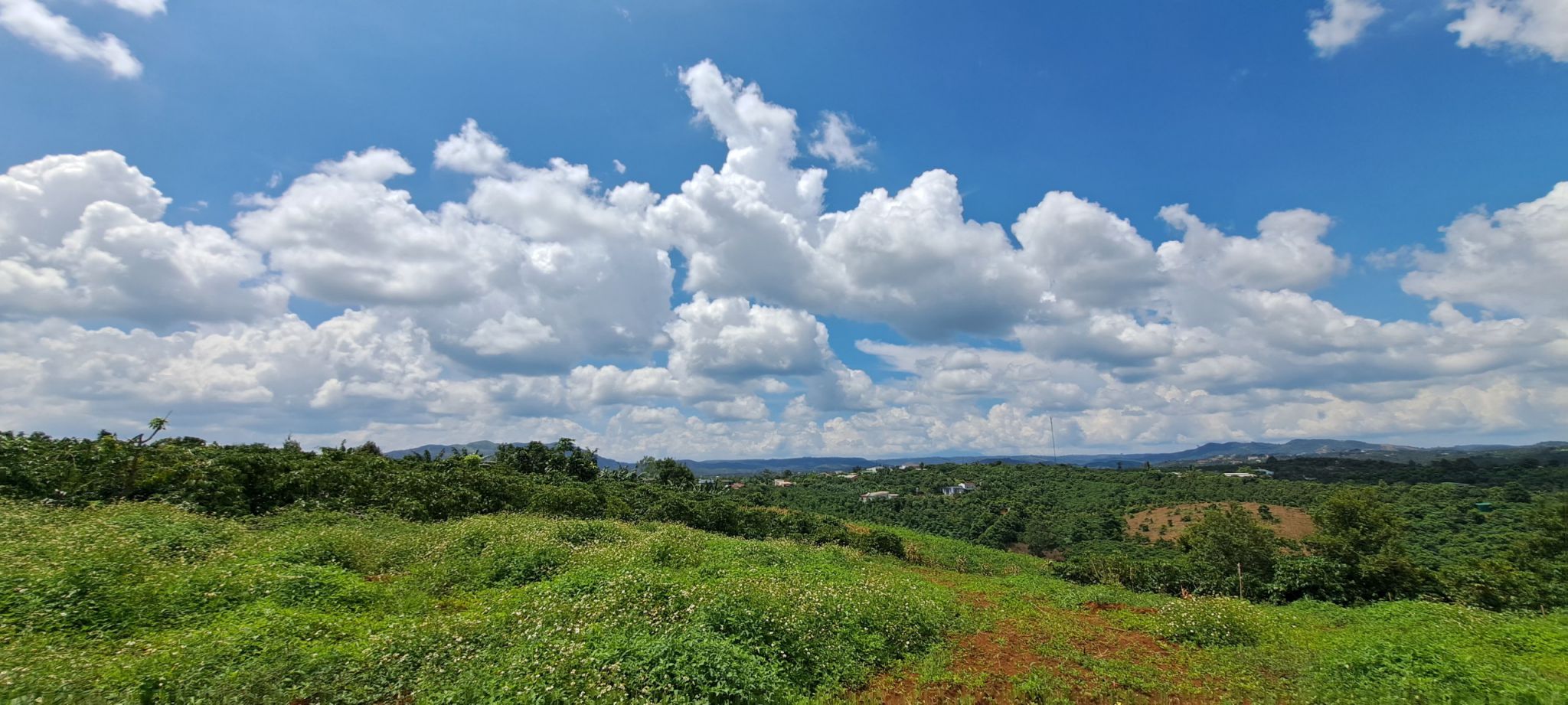 hinh-anh-thuc-te-doi-mo-sky-view-bao-loc