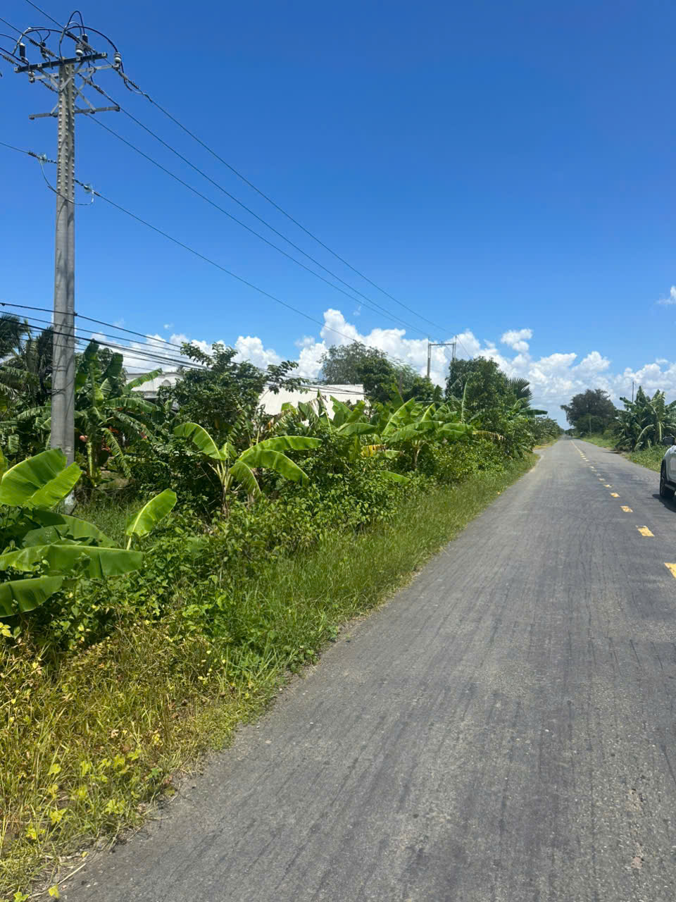 ban-1237m2-dat-mat-tien-duong-839-duc-hue-long-an