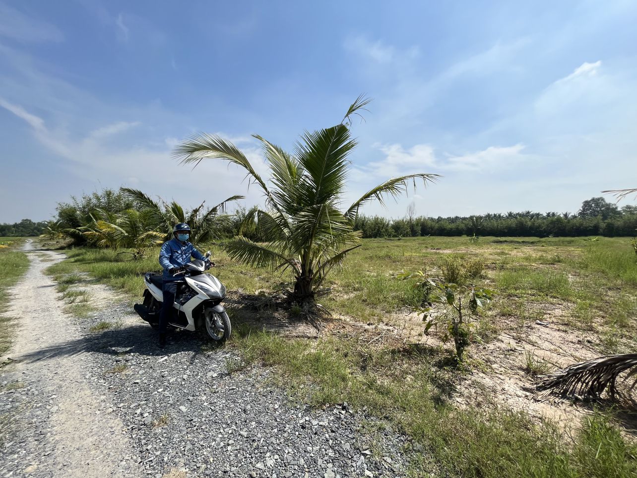 ban-mieng-dat-doi-dien-nha-dan-da-len-nen-co-ao-nuoi-ca-lam-vuon