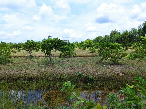 dat-duc-hue-4000m2-so-san-cong-chung-ngay