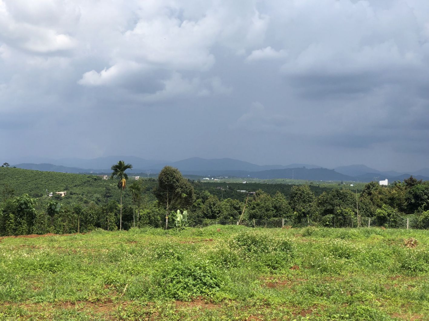 hinh-anh-thuc-te-doi-mo-sky-view-bao-loc