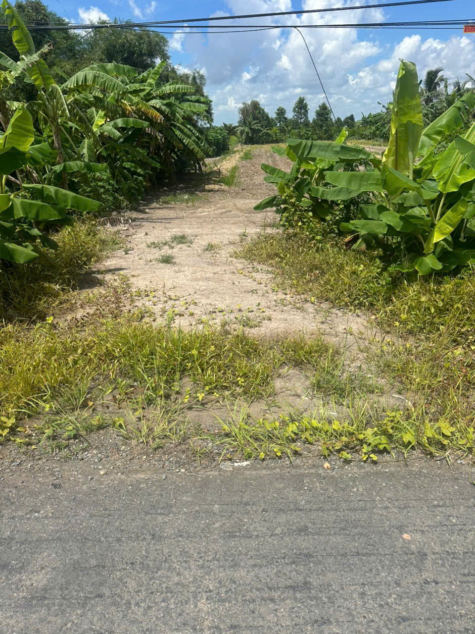 ban-1237m2-dat-mat-tien-duong-839-duc-hue-long-an