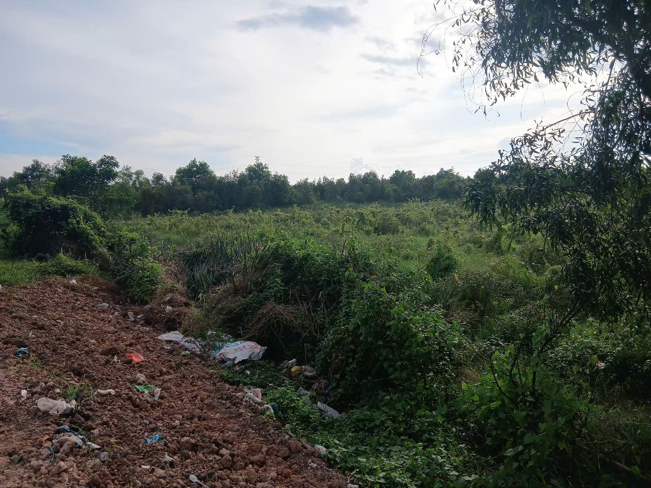 ban-dat-mat-tien-quoc-lo-n2-thanh-loi-ben-luc-long-an-tay-ninh-moi