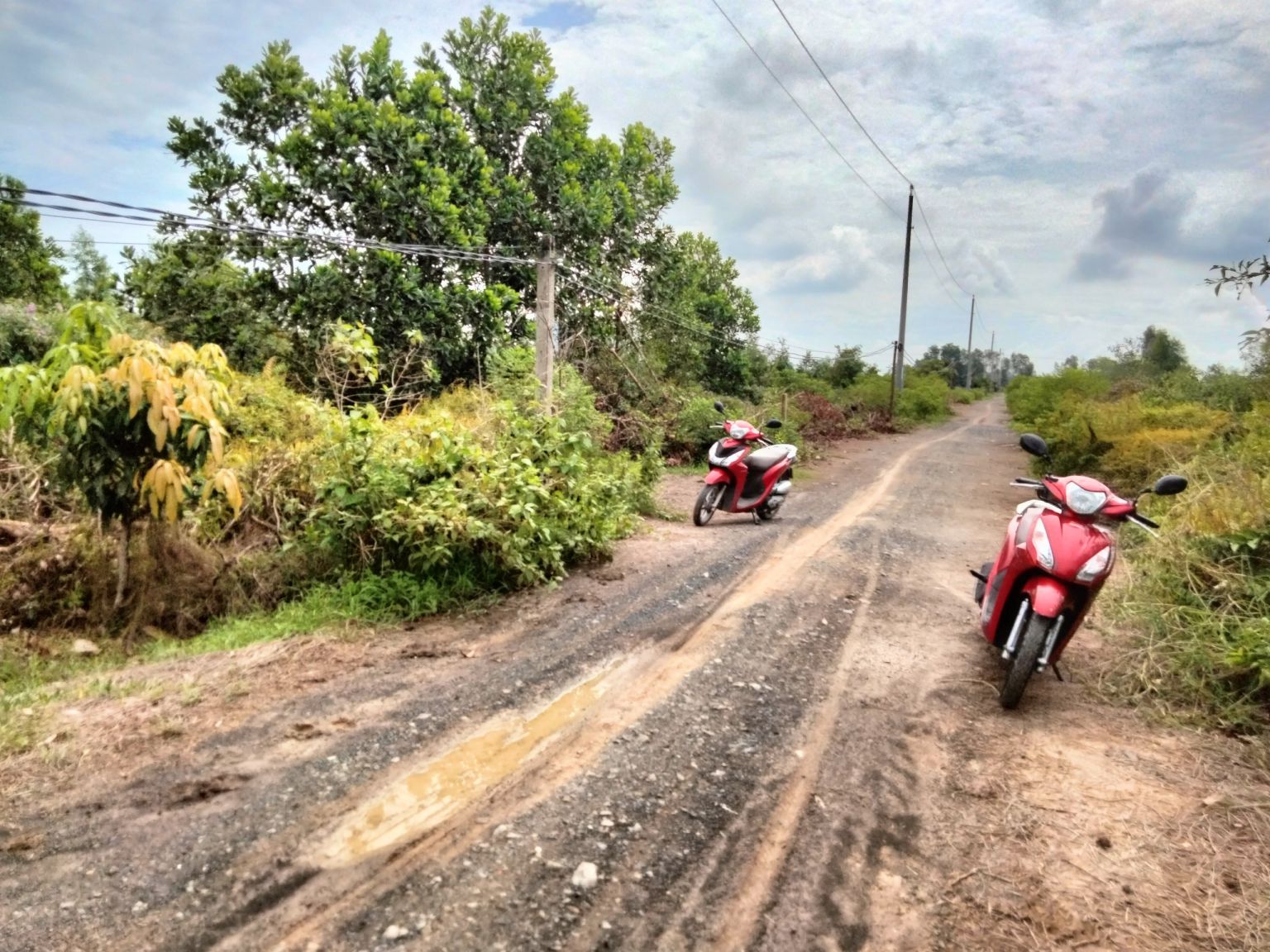 ban-dat-vuon-tai-xa-binh-hoa-nam-duc-hue-long-an