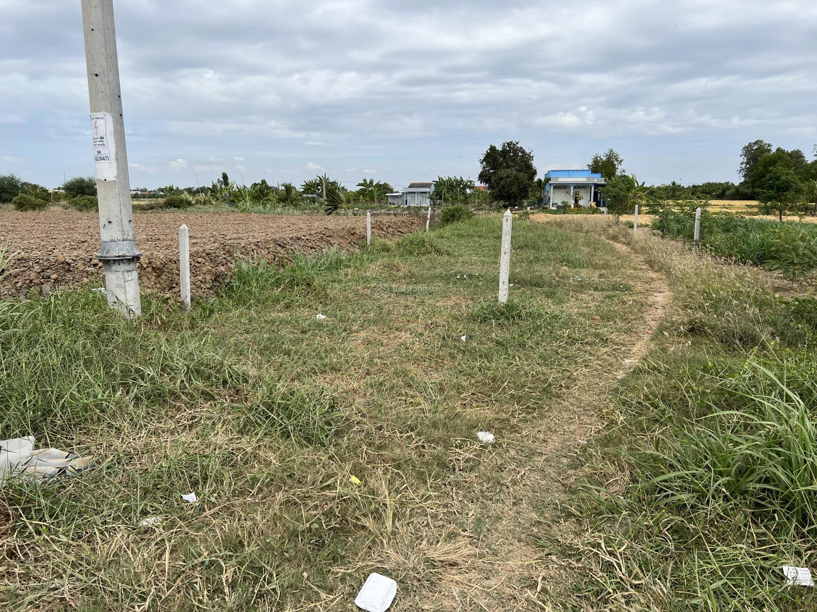ban-dat-mat-tien-duong-dt-871b-vao-kcn-gia-thuan-go-cong-dong
