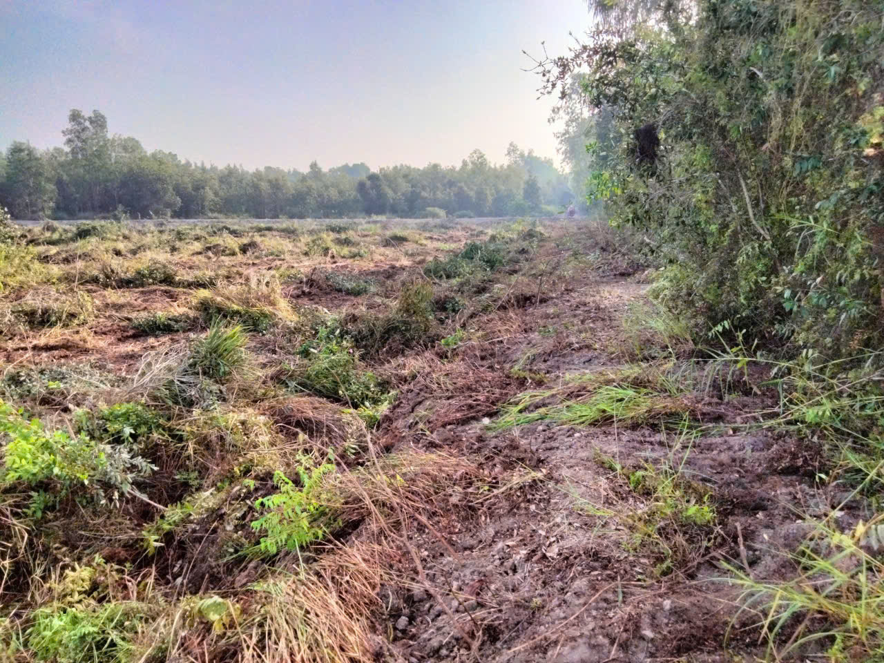 mua-ban-nha-dat-tai-tinh-long-an