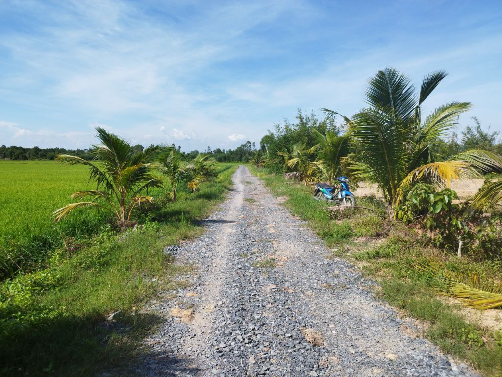 dat-nen-binh-hoa-nam