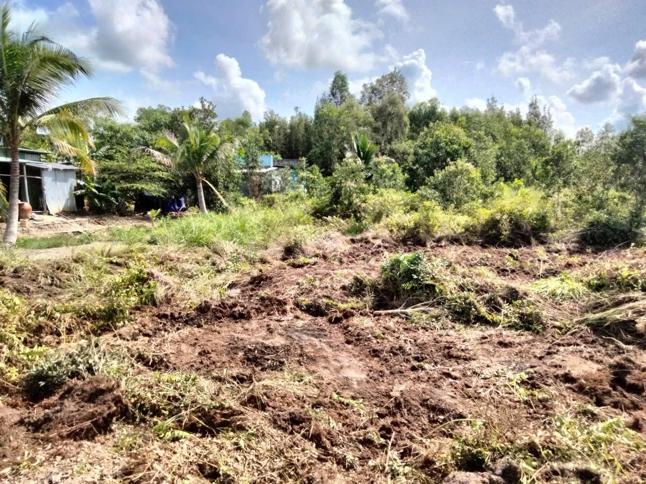 ban-dat-mat-tien-ql-n2-thanh-loi-ben-luc-long-an