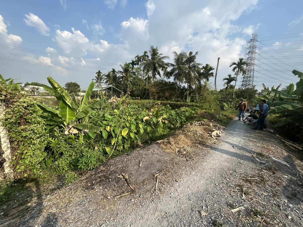 ban-nen-dat-vuon-1915m2-binh-my-so-rieng