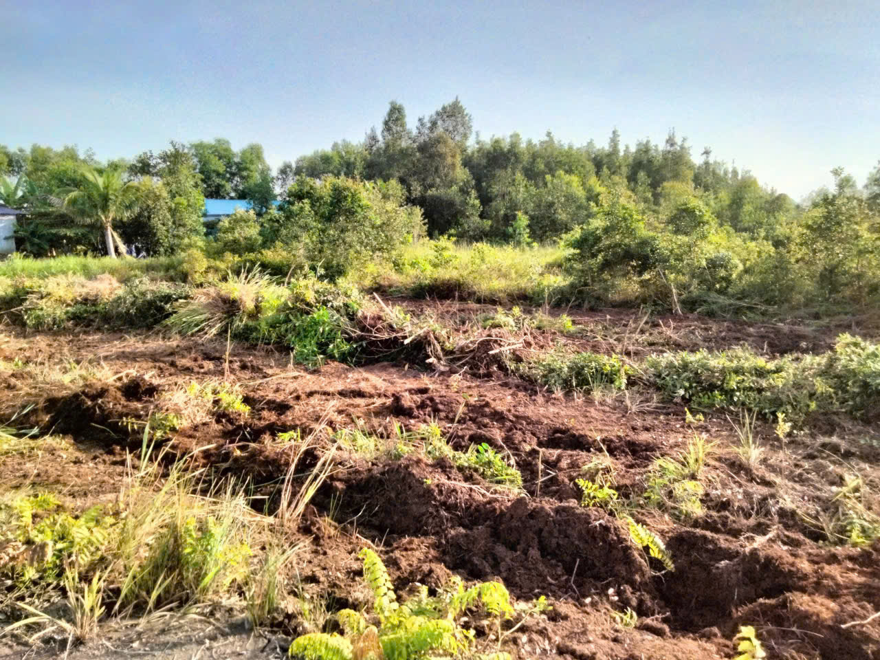 ban-dat-mat-tien-ql-n2-thanh-loi-ben-luc-long-an