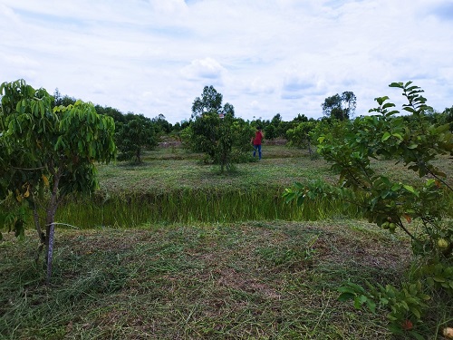 ban-4000m2-dat-long-an-so-san-cong-chung-ngay