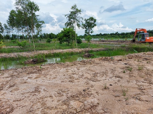 ban-mieng-dat-1000m2-ngang-24m-dai-42m-tai-long-an