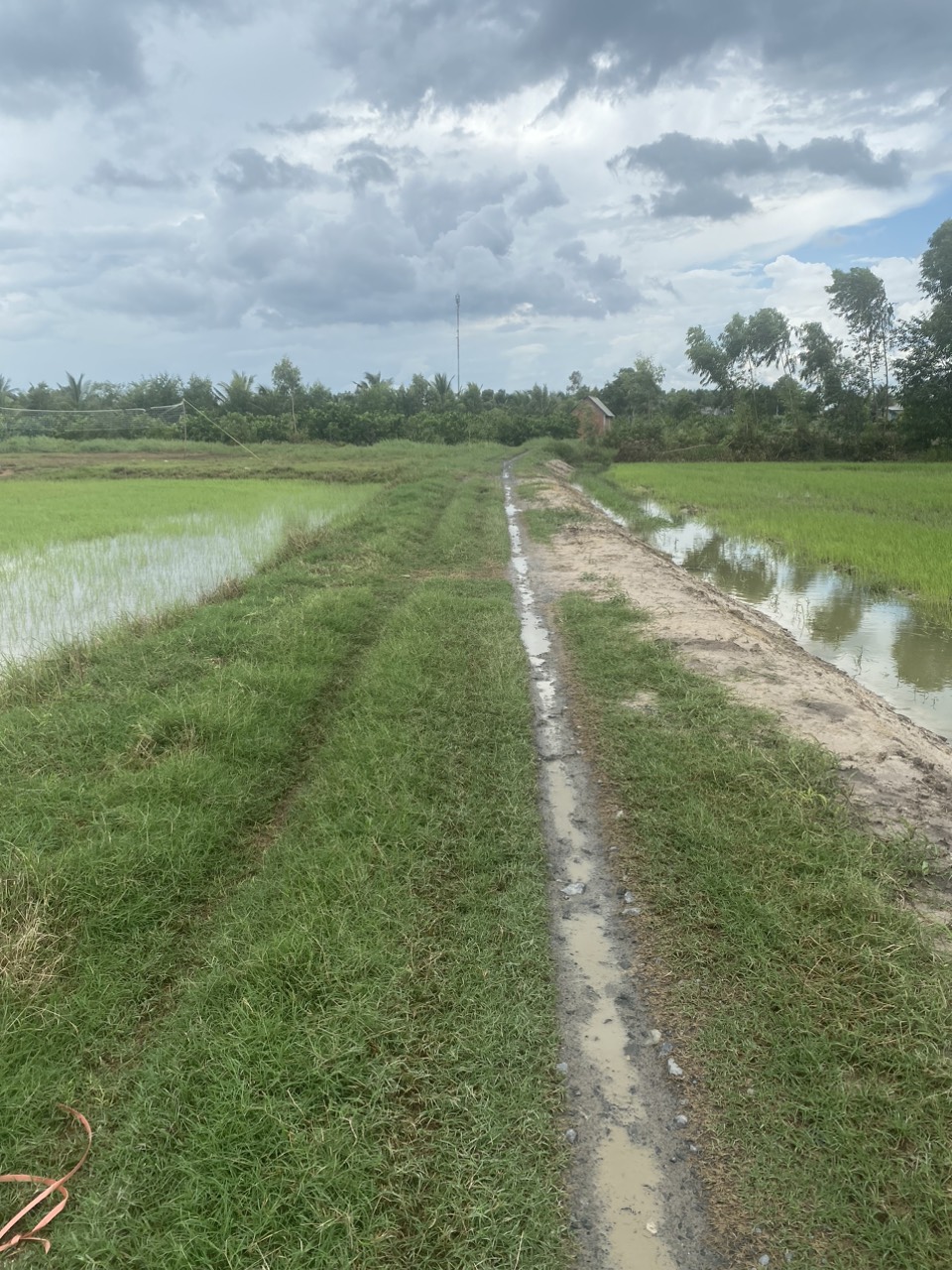 ban-khu-dat-nong-nghiep-tai-tinh-long-an