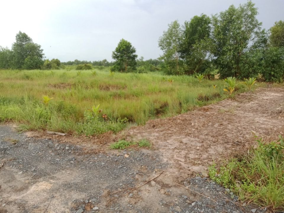 ban-dat-1000m2-duong-5m-dan-cu-hien-huu-gia-750-trieu