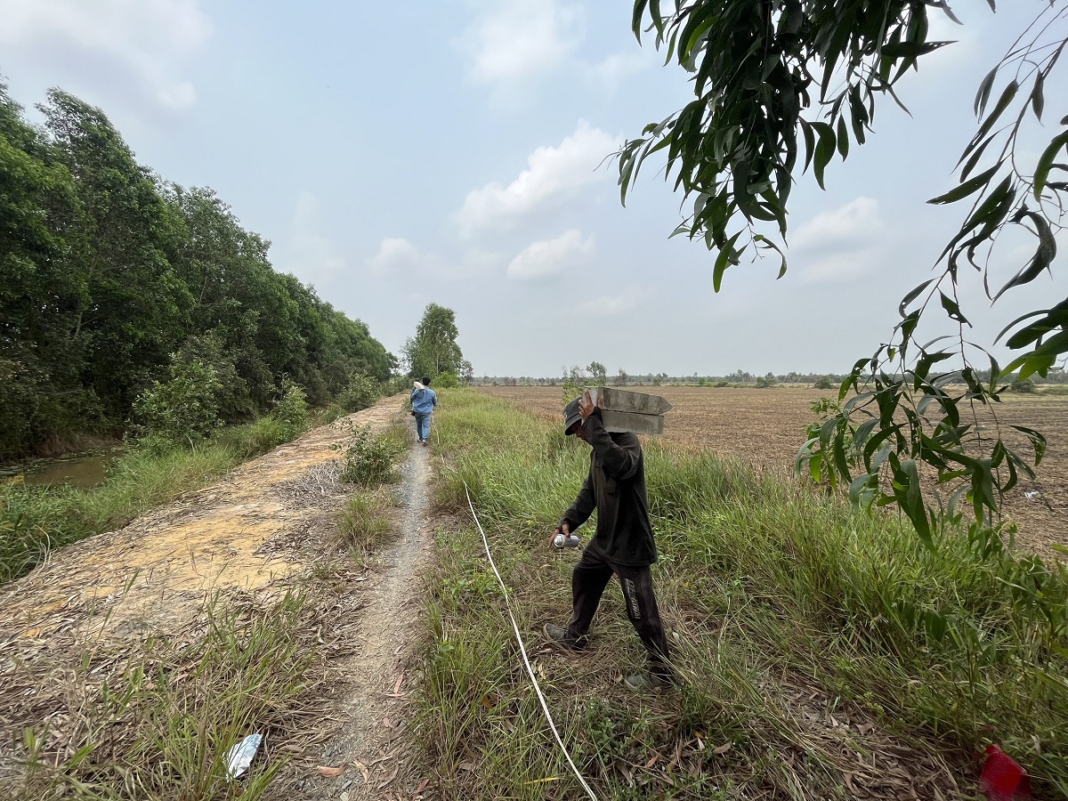 ban-dat-vuon-duong-dt-823-binh-hoa-nam-duc-hue-long-an