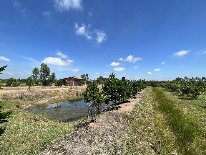 ban-4000m2-dat-long-an-so-san-cong-chung-ngay