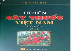 tu-dien-cay-thuoc-viet-nam-tap-1