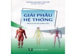 giai-phau-he-thong