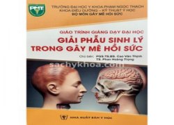 giai-phau-sinh-ly-trong-gay-me-hoi-suc