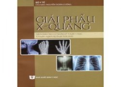 giai-phau-x-quang