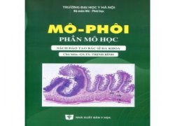 mo-phoi-phan-mo-hoc