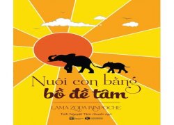 nuoi-con-bang-bo-de-tam