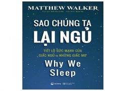 sao-chung-ta-lai-ngu-why-we-sleep