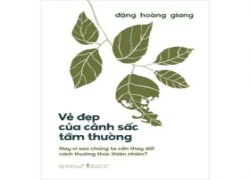 ve-dep-cua-canh-sac-tam-thuong-hay-vi-sao-chung-ta-can-thay-doi-cach-thuong-thuc-thien-nhien