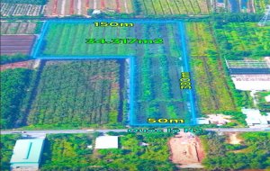 ban-34ha-dat-mat-tien-quoc-lo-n2-thanh-loi-ben-luc