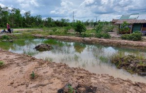 ban-mieng-dat-1000m2-ngang-24m-dai-42m-tai-long-an