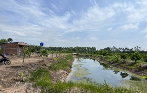 ban-dat-trong-cay-an-trai-co-ao-nuoi-ca-binh-hoa-nam-duc-hue-long-an