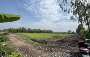 ban-mieng-dat-ruong-3374m2-tai-xa-binh-hoa-nam-long-an