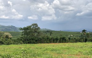 hinh-anh-thuc-te-doi-mo-sky-view-bao-loc