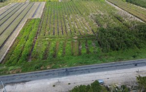 ban-34ha-dat-mat-tien-quoc-lo-n2-thanh-loi-ben-luc