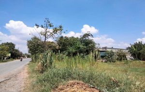 ban-dat-tai-huyen-duc-hoa-tinh-long-an